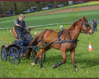 1POSIEUX 0076